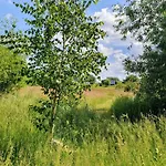 Sonnenhügel