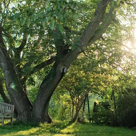 Sonnenhügel Apartment Carinerland